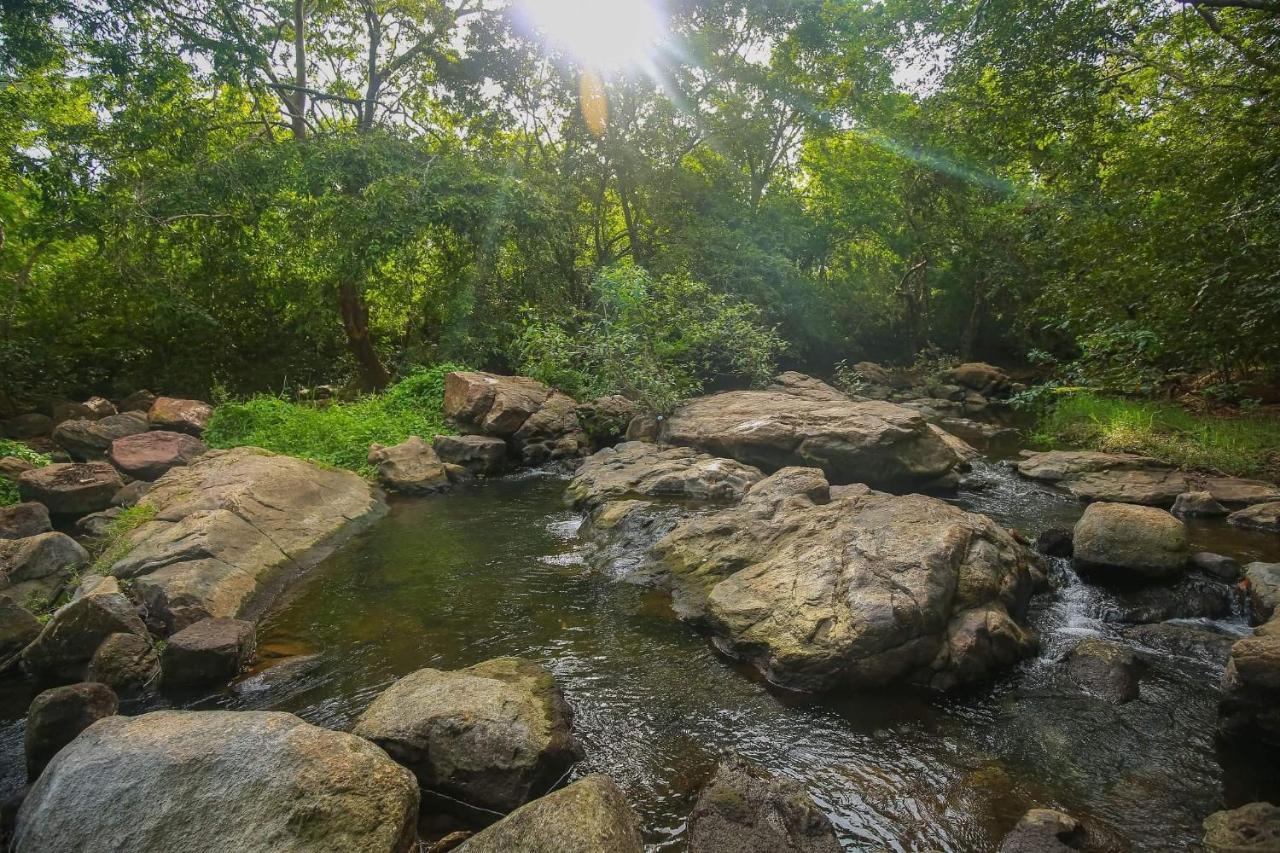 Yala Safari River View Hotel Tissamaharama Luaran gambar