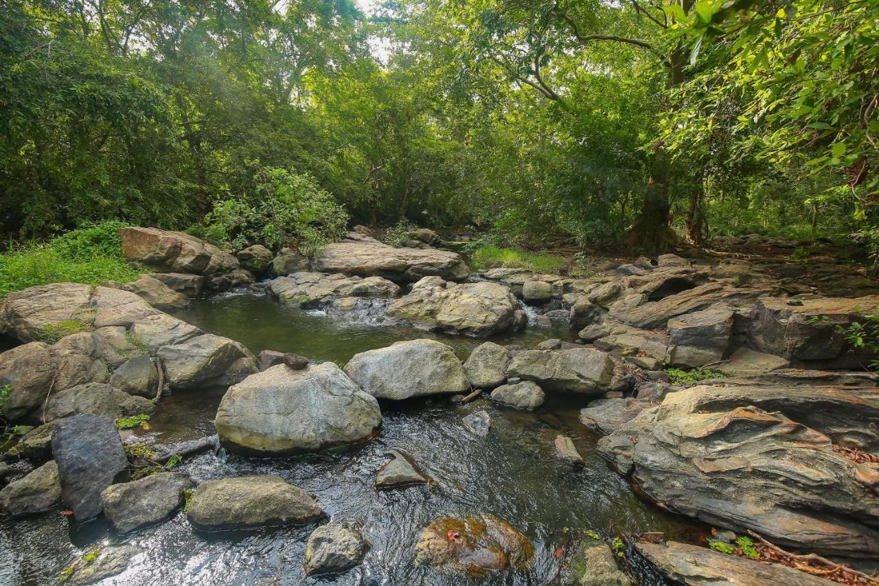 Yala Safari River View Hotel Tissamaharama Luaran gambar