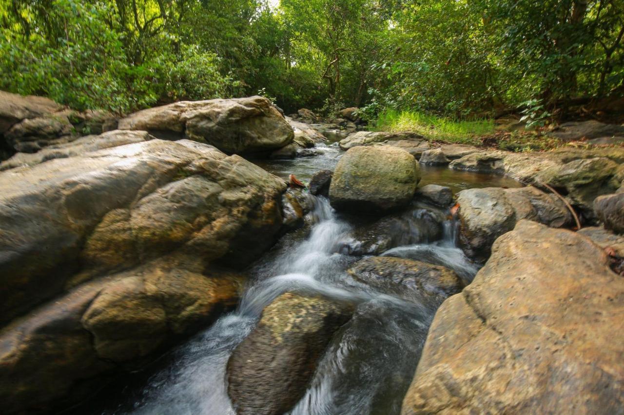 Yala Safari River View Hotel Tissamaharama Luaran gambar