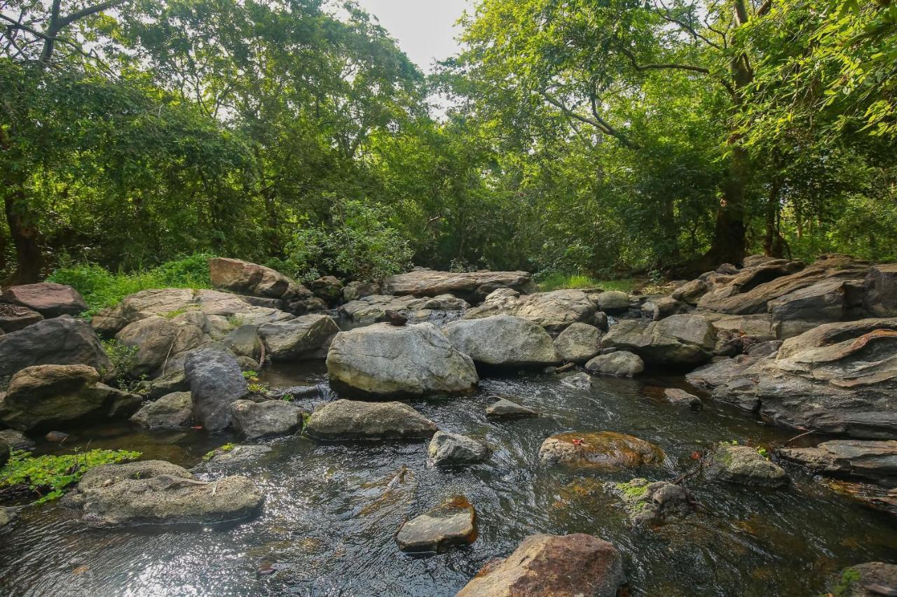 Yala Safari River View Hotel Tissamaharama Luaran gambar