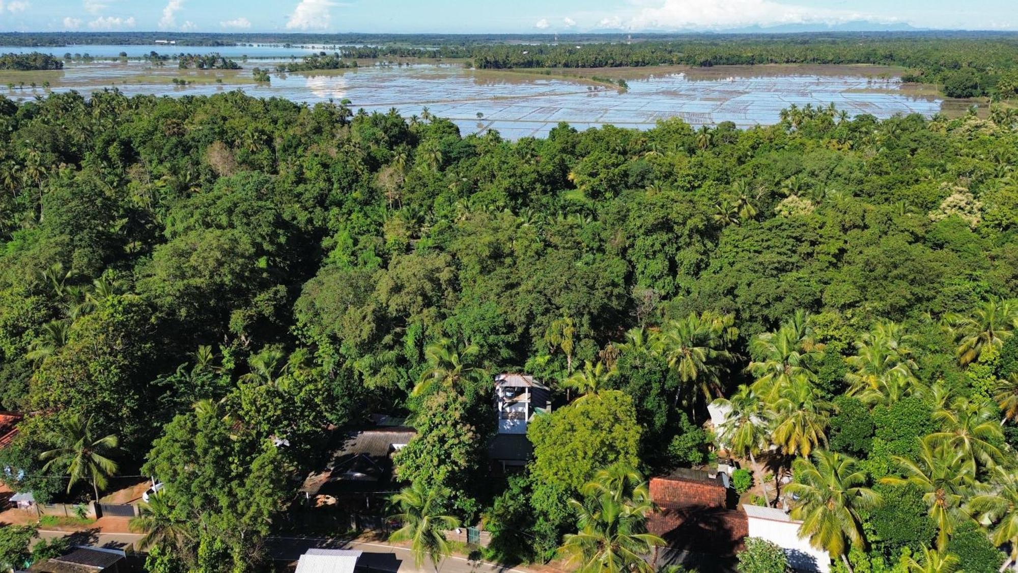 Yala Safari River View Hotel Tissamaharama Luaran gambar
