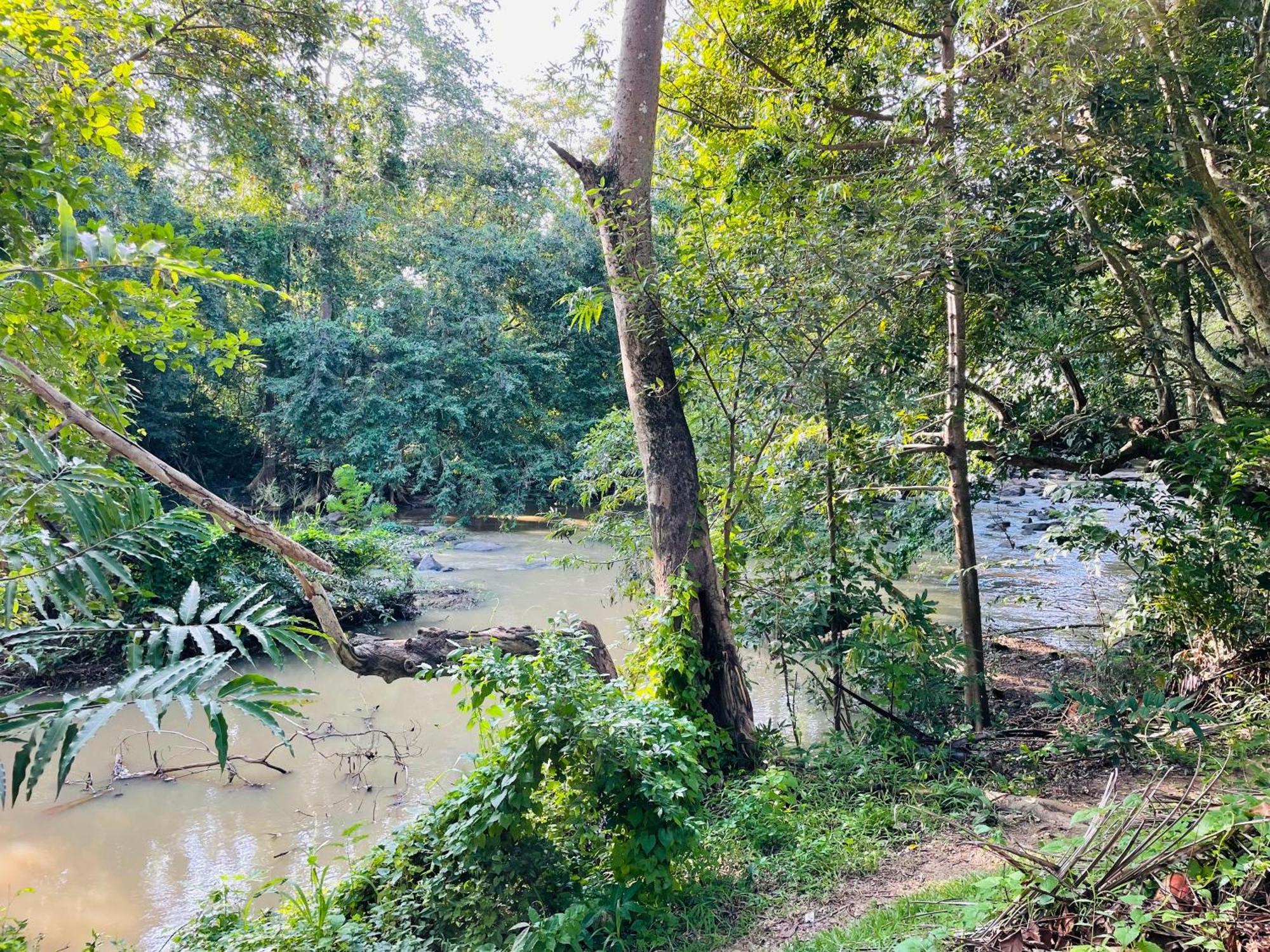 Yala Safari River View Hotel Tissamaharama Luaran gambar