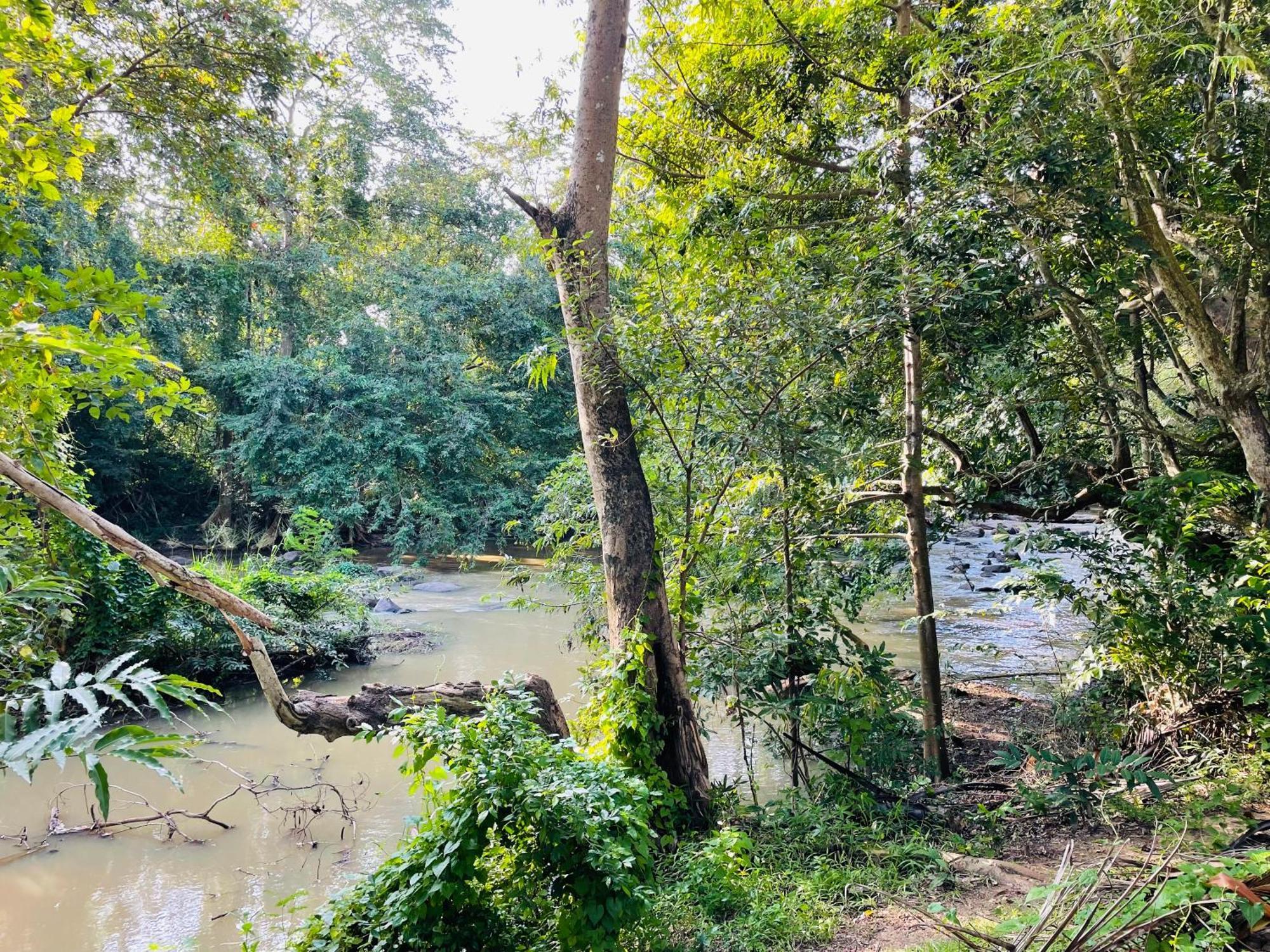 Yala Safari River View Hotel Tissamaharama Luaran gambar