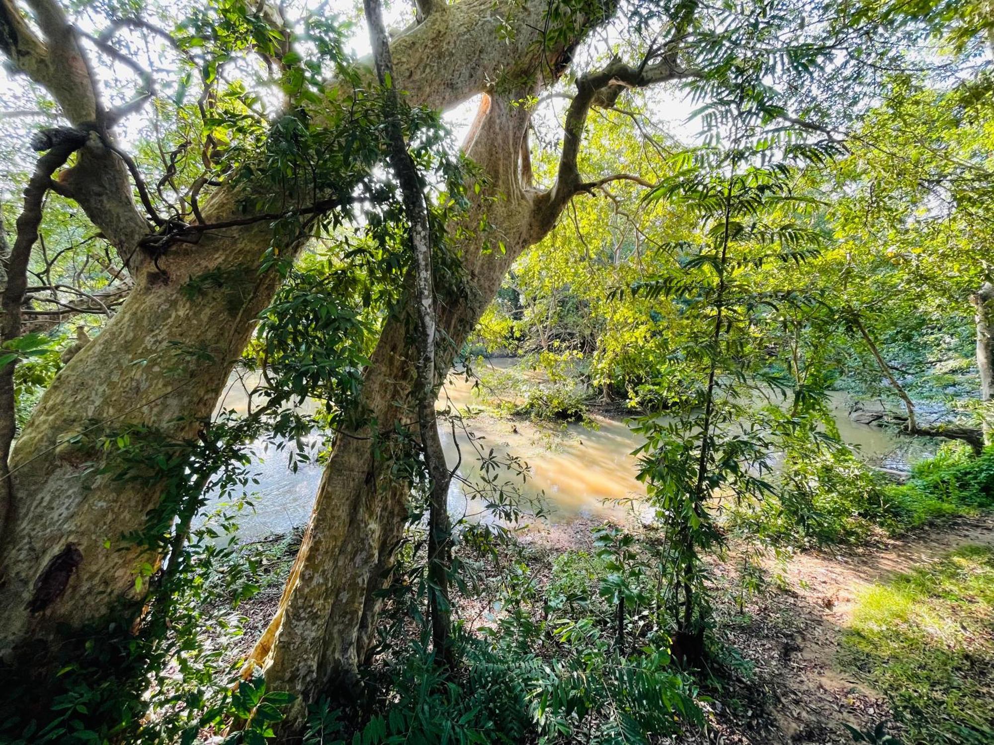 Yala Safari River View Hotel Tissamaharama Luaran gambar