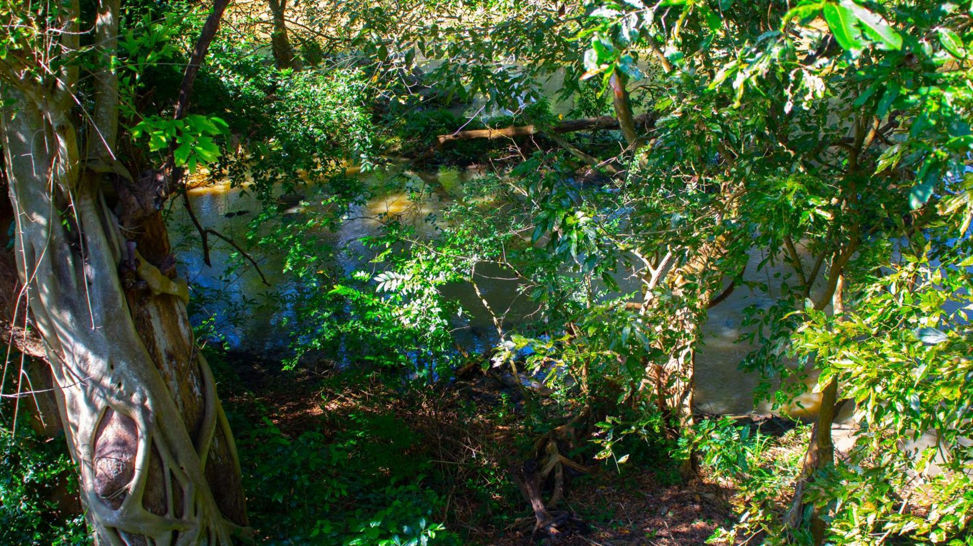 Yala Safari River View Hotel Tissamaharama Luaran gambar