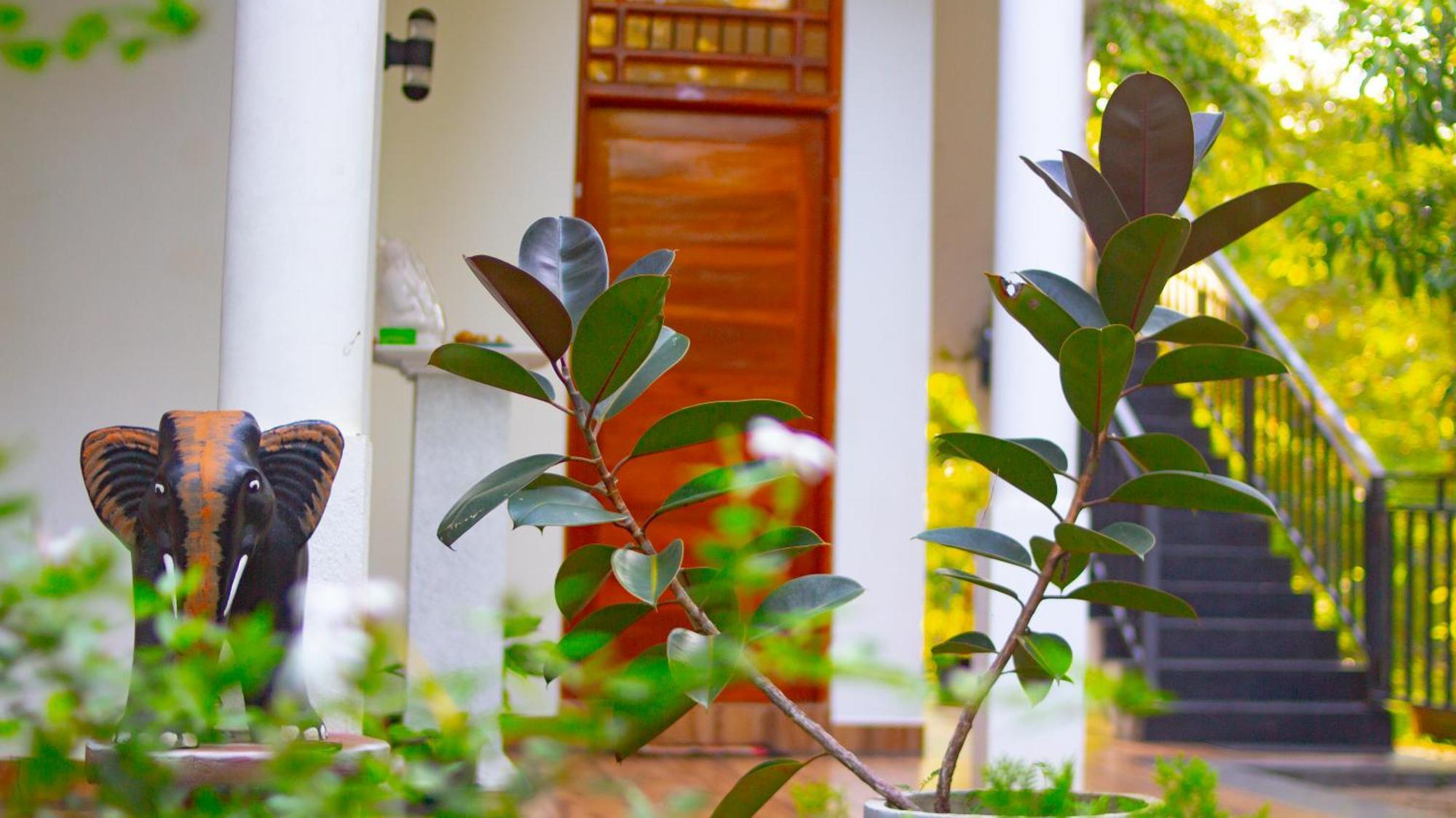 Yala Safari River View Hotel Tissamaharama Luaran gambar