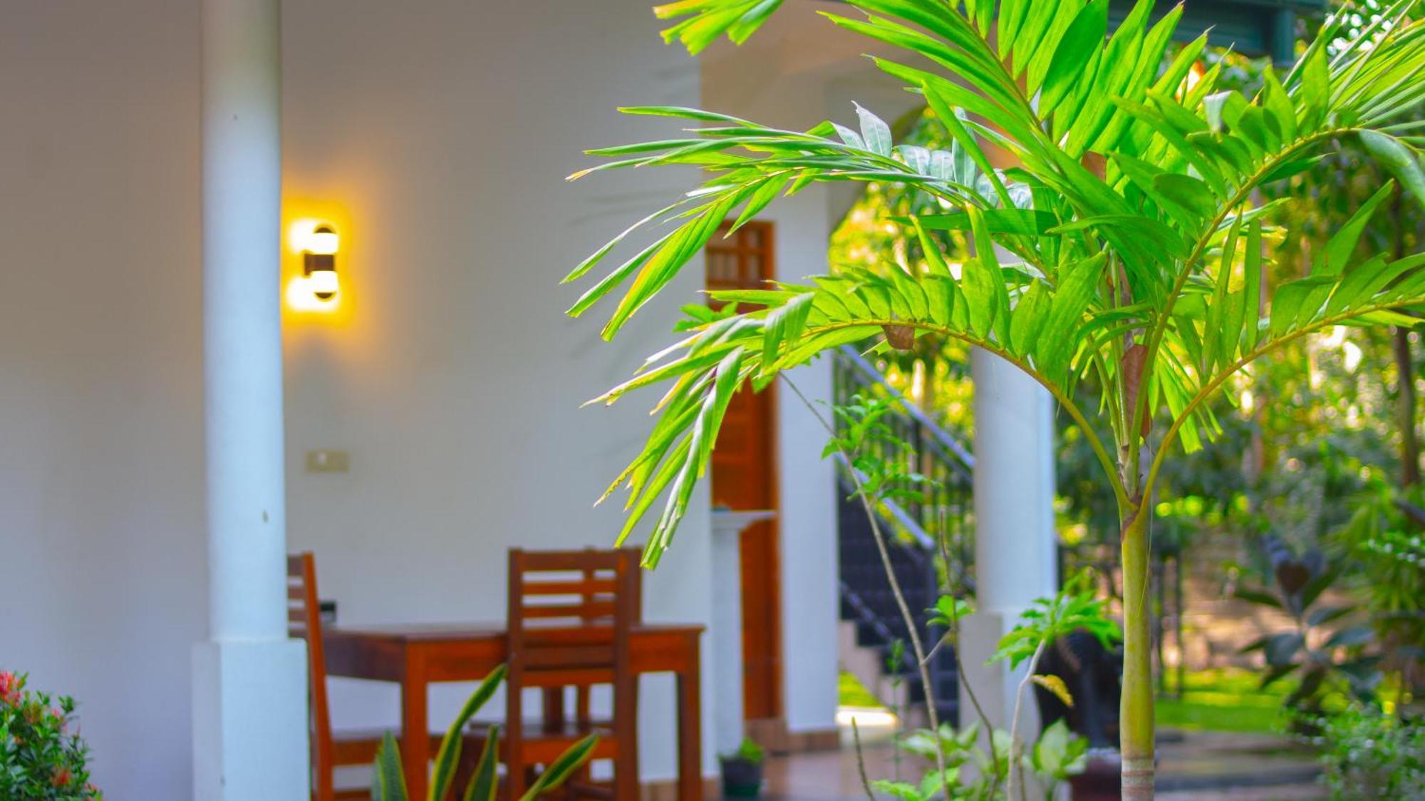 Yala Safari River View Hotel Tissamaharama Luaran gambar